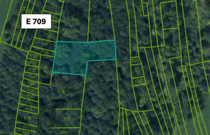 Omastiná – 9.909 m2 LESY a PASIENKY – PREDAJ - Katastrálna mapa poľnohospodárskych a lesných pozemkov v Omastinej.