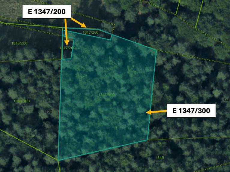 Omastiná – 9.909 m2 LESY a PASIENKY – PREDAJ - Mapa katastra s parcelami v Omastinej, poľnohospodárske a lesné pozemky.