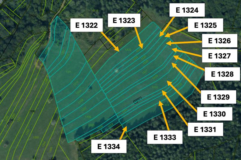 Omastiná – 9.909 m2 LESY a PASIENKY – PREDAJ - Ortofotomapa poľnohospodárskych a lesných pozemkov v Omastinej s označenými parcelami.