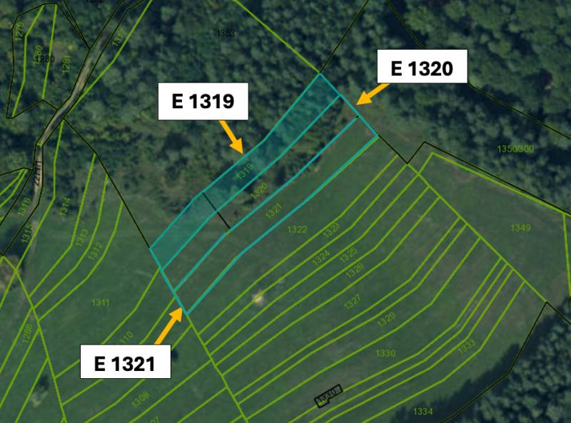 Omastiná – 9.909 m2 LESY a PASIENKY – PREDAJ - Katastrálna mapa poľnohospodárskych a lesných pozemkov v Omastinej s parcelnými číslami.