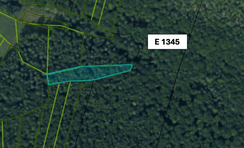 Omastiná – 9.909 m2 LESY a PASIENKY – PREDAJ - Letecká snímka lesného pozemku v Omastinej s parcelným číslom E 1345.