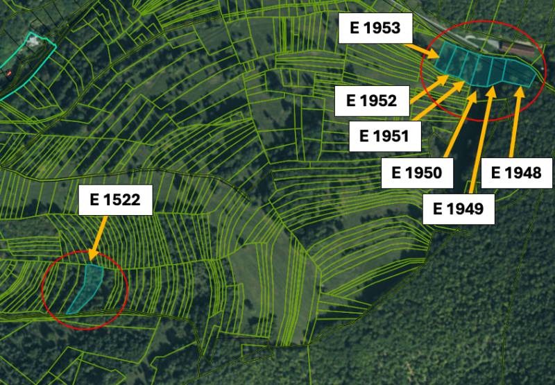 Omastiná – 9.909 m2 LESY a PASIENKY – PREDAJ - Katastrálna mapa poľnohospodárskych a lesných pozemkov v Omastinej s vyznačenými parcelami.