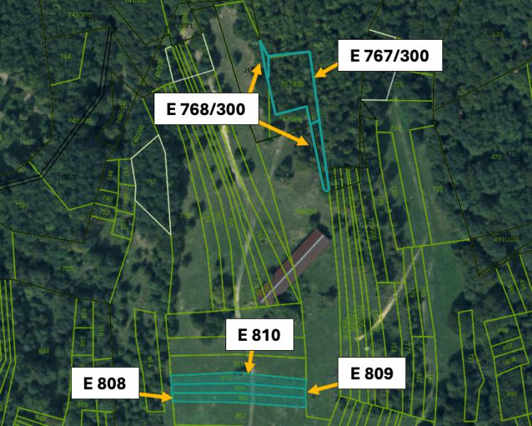 Omastiná – 9.909 m2 LESY a PASIENKY – PREDAJ - Katastrálna mapa poľnohospodárskych a lesných pozemkov v oblasti Omastiná s označením parcel.