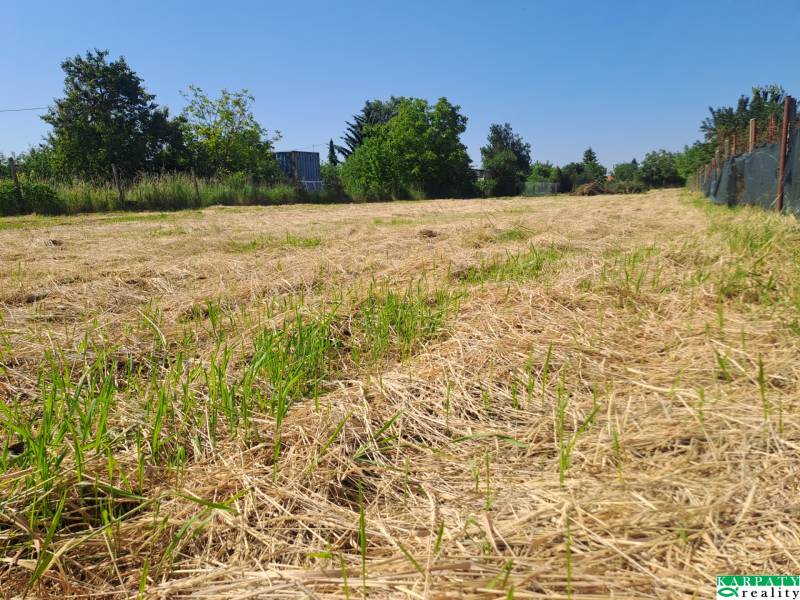 Dom s obrovským pozemkom, rodinné bývanie i investičná príležitosť! - Pozemky - komerčné na predaj v Sládkovičove, Sládkovičovo, zelená tráva, modrá obloha.