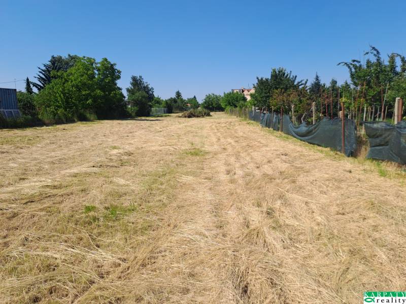 Dom s obrovským pozemkom, rodinné bývanie i investičná príležitosť! - Rovinaté pozemky - komerčné v meste Sládkovičovo, ulica Sládkovičovo, so zeleňou po stranách.