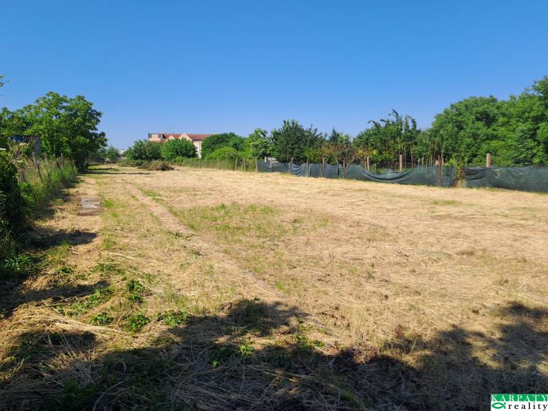 Dom s obrovským pozemkom, rodinné bývanie i investičná príležitosť! - Plocha pozemkov - komerčných obklopených zeleňou v Sládkovičove na ulici Sládkovičovo.
