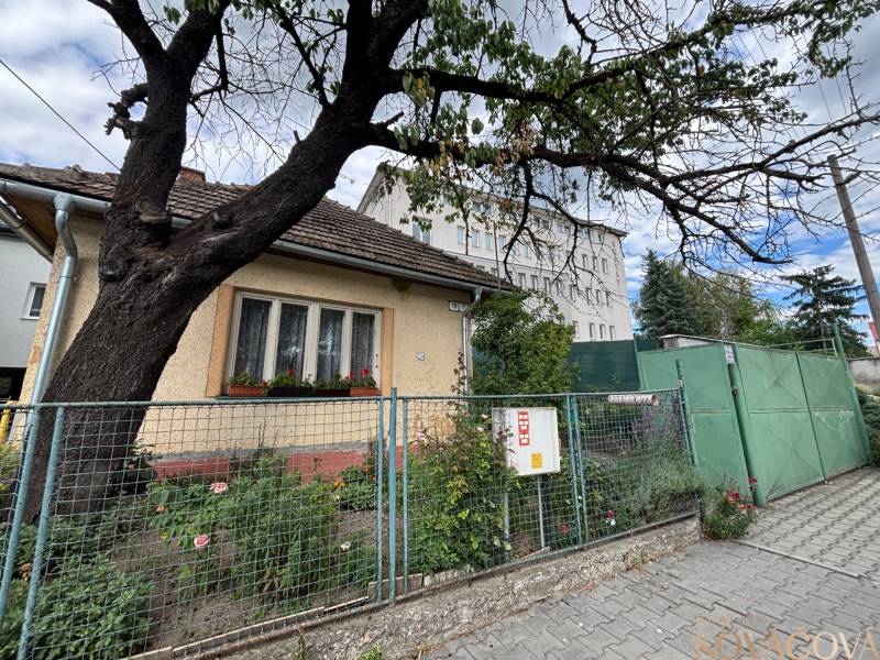 Na predaj starší rodinný dom v centre Ilavy – pozemok 280 m² - Rodinný dom v Ilave s predzáhradkou a veľkým stromom pri chodníku.