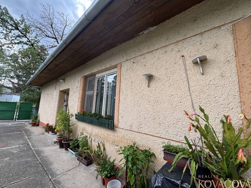 Na predaj starší rodinný dom v centre Ilavy – pozemok 280 m² - Rodinný dom v Ilave s kvetinovou výzdobou a zelenou bránou na dvore.