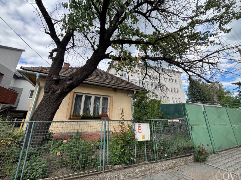 Na predaj starší rodinný dom v centre Ilavy – pozemok 280 m² - Rodinný dom v Ilave s oplotenou záhradou, stromom a susediacimi budovami v pozadí.