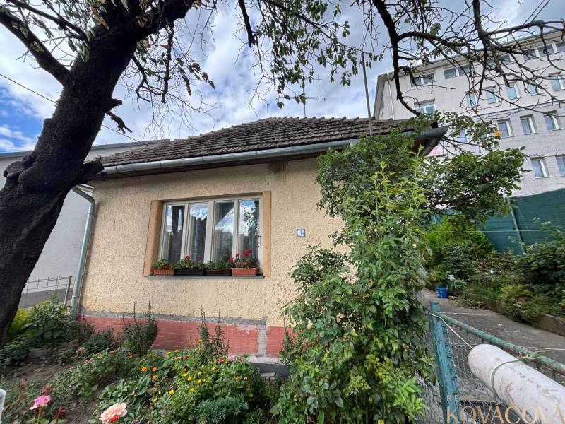 Na predaj starší rodinný dom v centre Ilavy – pozemok 280 m² - Rodinný dom v Ilave s upravenou záhradou a kvetinami pod oknom.