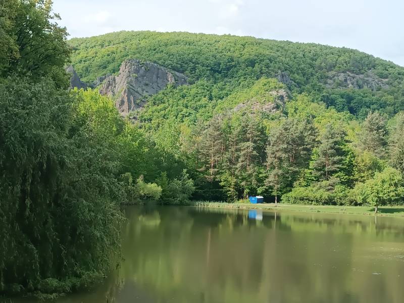 Na predaj chata pri jazere v Sklených Tepliciach - Zeleň, jazerá a lesy okolo na ulici Sklené Teplice oživujú prírodu pri chate.