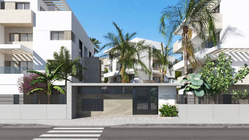 SANTA ROSALIA - Luxusné apartmány s 2 -3 spálňami s výhľadom na jazero - Exteriér s palmami na ulici Santa Rosalia Lake v Torre Pacheco, 3-izbové byty.
