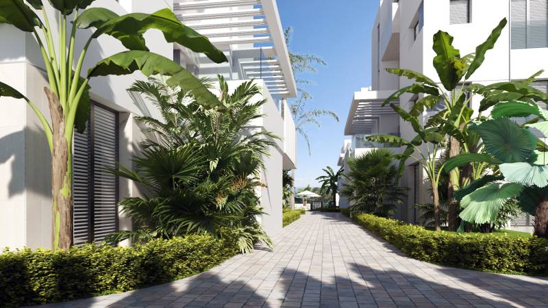 SANTA ROSALIA - Luxusné apartmány s 2 -3 spálňami s výhľadom na jazero - Palmy a zeleň lemujú cestu medzi budovami na SANTA ROSALIA LAKE v TORRE PACHECO.