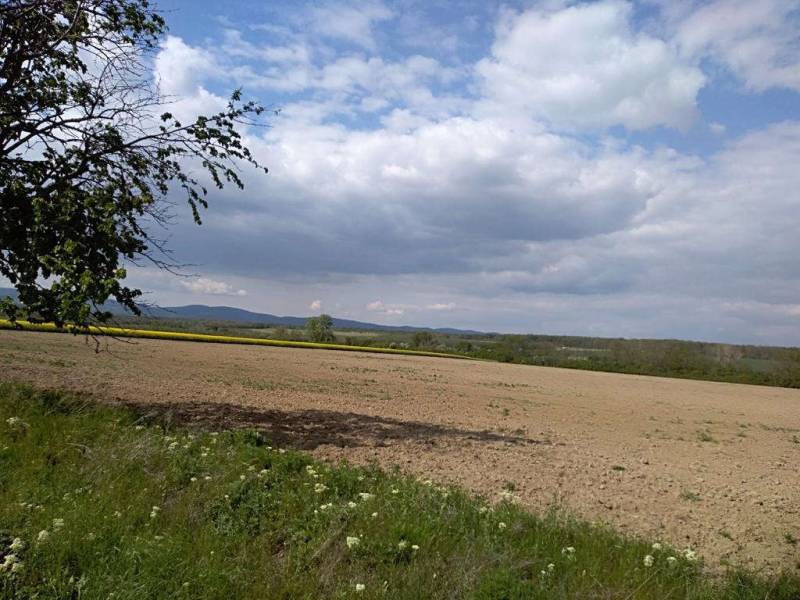 Hľadáme na kúpu pozemky na výstavbu v Bratislavskom kraji. - Lúka, vzdialené vrchy a stromy poskytujú pokojné miesto pre bývanie a pozemky.