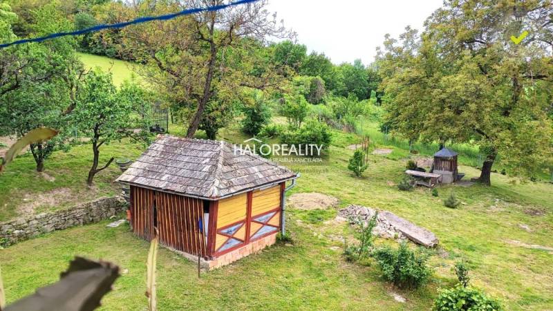 REZERVOVANÉ - Predaj, rodinný dom České Brezovo - EX... - Záhrada v rodinnom dome v Českých Brezovom so záhradným domčekom a stromami.
