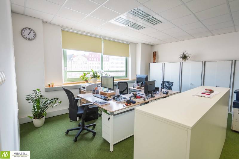 Klimatizované kancelárie v centre mesta na SNP ulici  - Kancelárie s pracovnými stolmi, počítačmi a zeleňou, vybavenie pre komfortnú prácu.