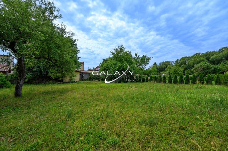 Rodinný dom s veľkým pozemkom na predaj – Vidiná, okres Lučenec - Záhrada s trávnikom a stromom pri rodinnom dome vo Vidinej, obklopená zelenou prírodou.