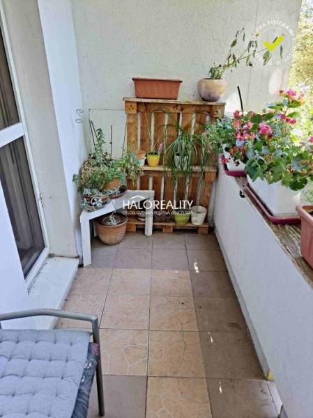 Predaj, trojizbový byt Bratislava Dúbravka, Lipského - Balkón 3-izbového bytu preplnený kvetinami a rastlinami s pohodlnou stoličkou.