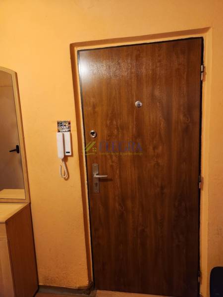 REZERVOVANÝ- 1-izbový byt, Košice, Ružová ulica - Drevené vchodové dvere v 1-izbovom byte, vedľa je interkom a šatníková skriňa.