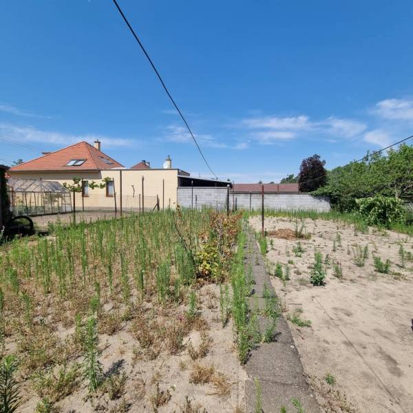 Rodinný dom na predaj - Malacky. - Záhrada za rodinným domom na ulici Písniky v Malackách s bujnou vegetáciou a oplotením.