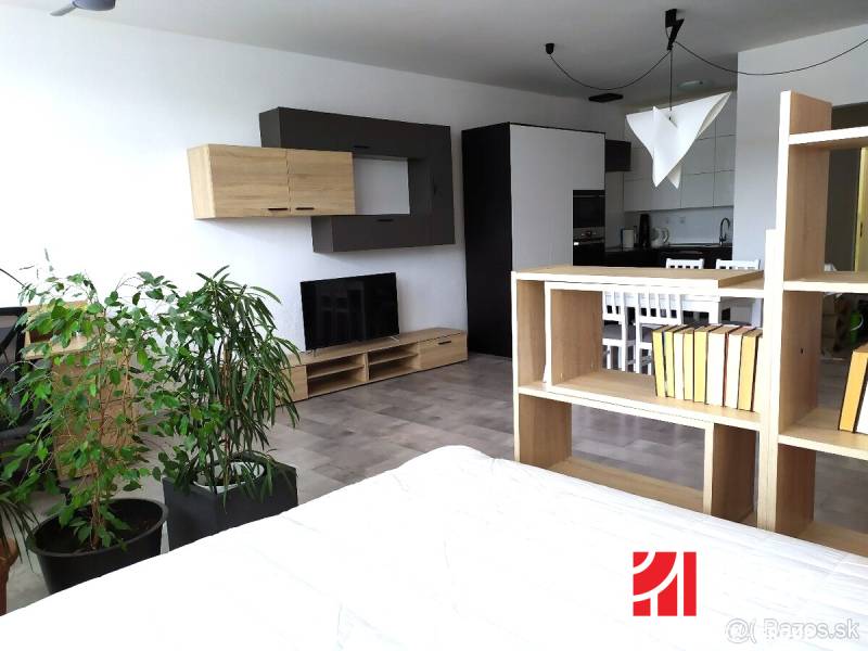 VELKOMETRÁŽNY 1 IZB.AP.BYT- TRNAVSKÁ CESTA, NOVÉ MESTO,BRATISLAVA - 1-izbový byt s izbovými rastlinami, televízorom a kuchynským kútom.