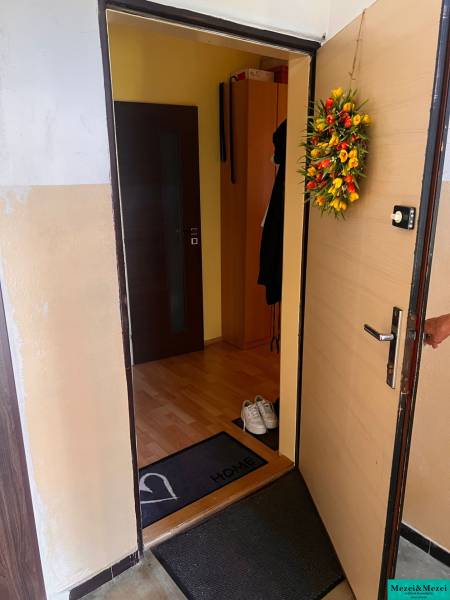 Predaj 3 izbový - Pezinok - Vstupná hala v 3-izbovom byte, zobrazuje otvorené dvere a dekoráciu na stene.