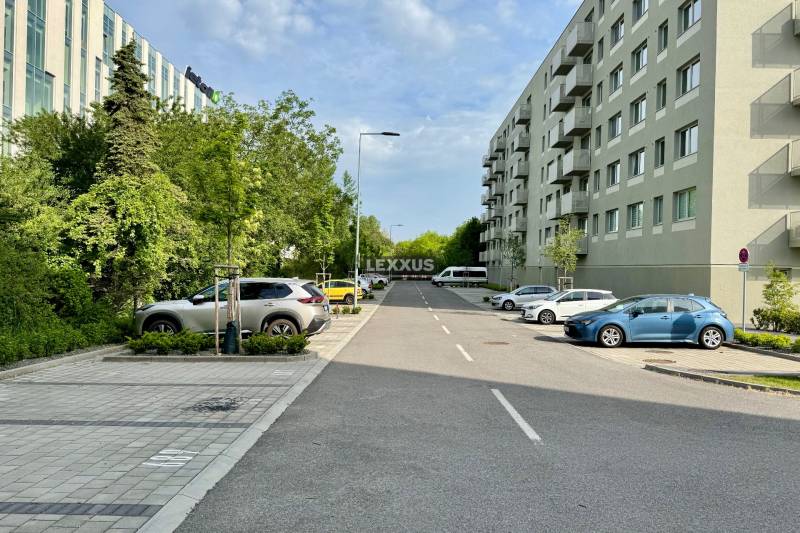 Vnútorné GARÁŽOVÉ STÁTIE, projekt OVOCNÉ SADY, 12 m2     - Cesta s autami a zeleňou v Bratislave-Trnávke na Ivánskej ceste, vedľa bytových domov.