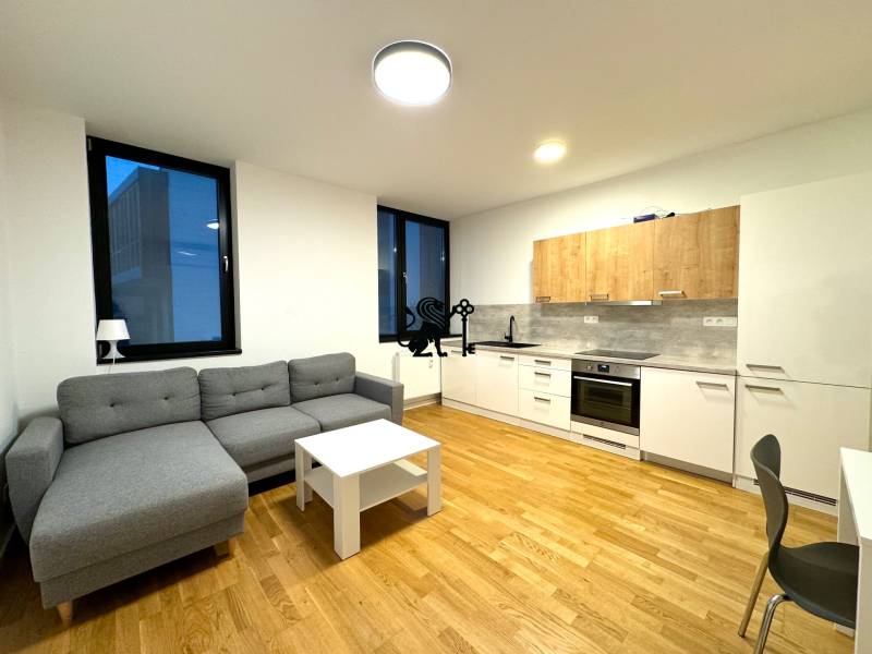 Budova s 8 apartmánmi alebo medicínske centrum, 9 park. miest- Kolibe - Obývacia izba s kuchyňou, sedačka, stôl a kuchynská linka v budove na ulici Na varte.