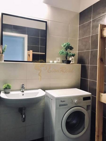 1-izb. apartmán, Antolska ul., Petržalka, rezidencia Draždiak - Kúpeľňa v 1-izbovom byte s práčkou, umývadlom a dekoráciou.