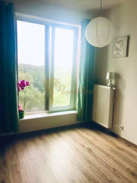 1-izb. apartmán, Antolska ul., Petržalka, rezidencia Draždiak - Izba v 1-izbovom byte so svetlým dreveným podlahou, veľkým oknom a svietidlom.