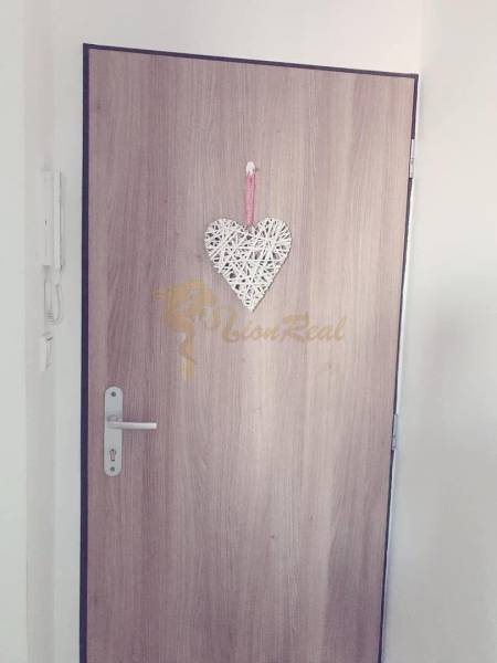 1-izb. apartmán, Antolska ul., Petržalka, rezidencia Draždiak - Drevené dvere s ozdobným srdcom a biely strop v 1-izbovom byte.