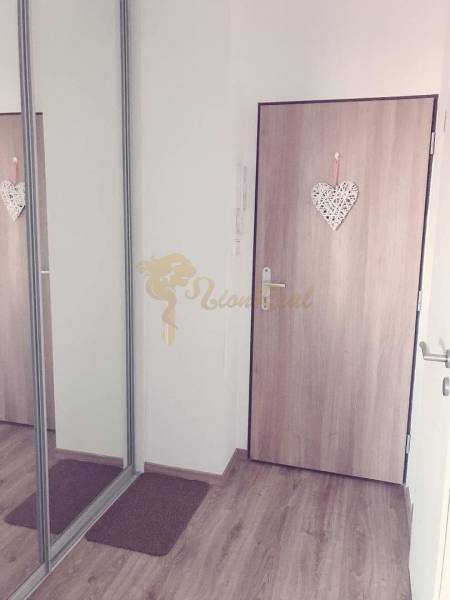 1-izb. apartmán, Antolska ul., Petržalka, rezidencia Draždiak - Chodba 1-izbového bytu s drevenými dverami a zrkadlovou skriňou.