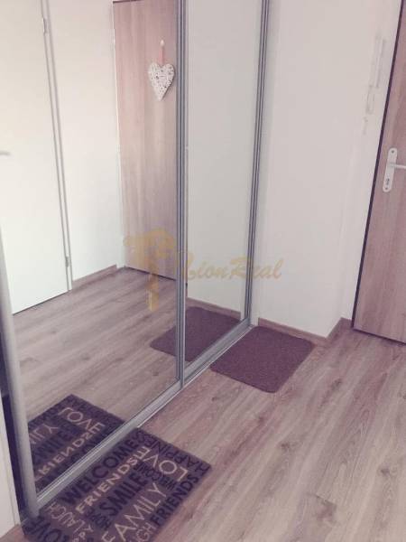 1-izb. apartmán, Antolska ul., Petržalka, rezidencia Draždiak - Interiér 1-izbového bytu s podlahou, zrkadlovou skriňou a dekoráciou na dverách.