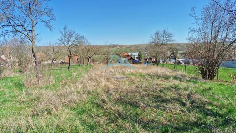 Pozemok (2394 m2) v Obeckove, okres Veľký Krtíš. - Trávnatý pozemok s ovocnými stromami, ideálny pre bývanie na vidieku.