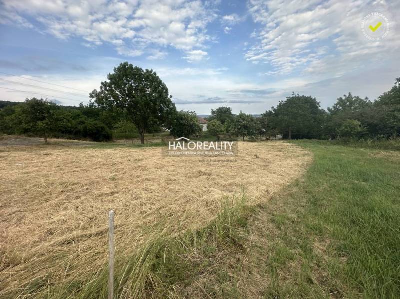 Predaj, pozemok pre rodinný dom   941 m2 Rybník - EX... - Pozemky - bývanie v Rybníku, zobrazené s trávnatou plochou a stromami, ideálne pre domy.