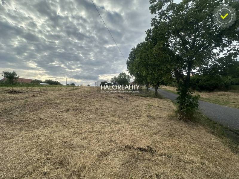 Predaj, pozemok pre rodinný dom   941 m2 Rybník - EX... - Pozemky - bývanie v Rybníku, tráva, stromy, cesta, oblačná obloha, pokojná lokalita.