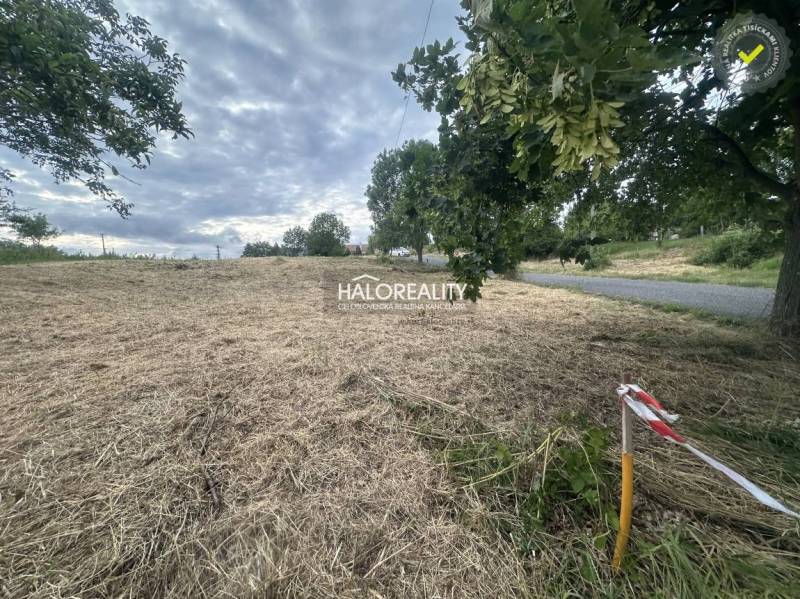 Predaj, pozemok pre rodinný dom   941 m2 Rybník - EX... - Pozemok v Rybníku pre bývanie, trávnatá plocha pri ceste, obklopená stromami.