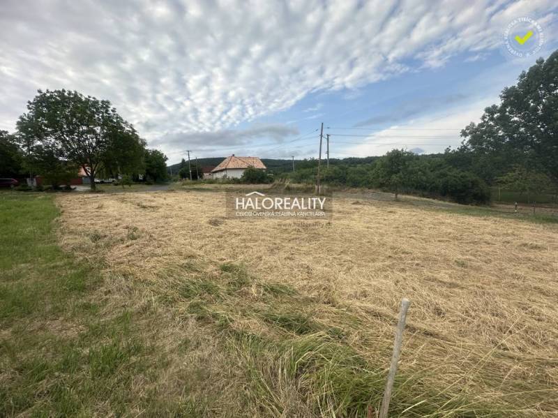 Predaj, pozemok pre rodinný dom   941 m2 Rybník - EX... - Trávnatý pozemok na bývanie v Rybníku obklopený stromami a budovami.
