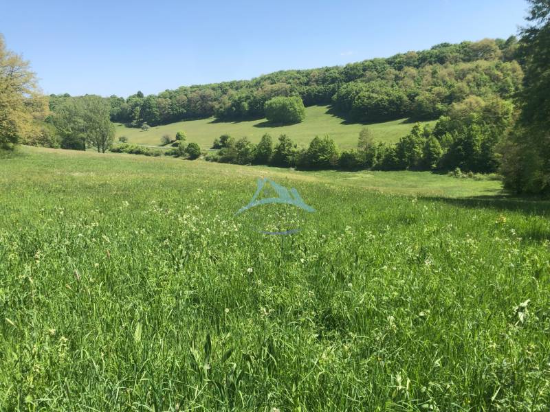 Pekný pozemok (3,2ha) na Hrušove okres Veľký Krtíš. - Lúka so zelenými pozemkami a stromami na kopci, ideálne pre rekreačné pozemky.