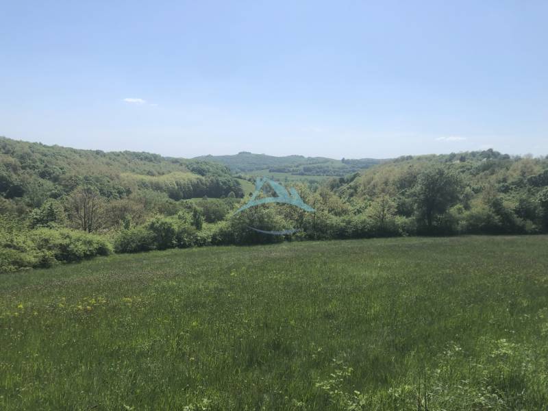 Pekný pozemok (3,2ha) na Hrušove okres Veľký Krtíš. - Zelené kopce a rozľahlé luky vytvárajú pokojné prostredie pre rekreačné pozemky.