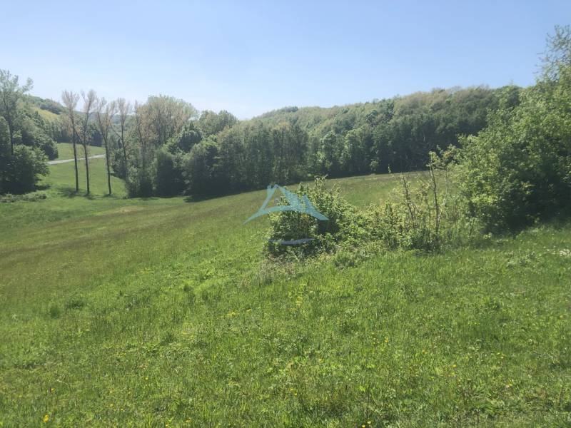 Pekný pozemok (3,2ha) na Hrušove okres Veľký Krtíš. - Na obrázku sú zelené rekreačné pozemky s cestou, obklopené lesmi a prírodou.