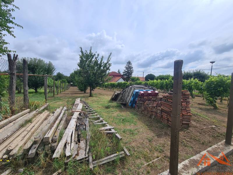 Na predaj pekný ,slnečný pozemok Moča ! - Záhrady v Moči s uskladnenými drevami a tehlami, obklopené viničmi a ovocnými stromami.