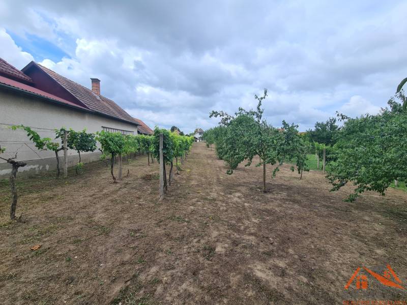 Na predaj pekný ,slnečný pozemok Moča ! - V Záhradách v Moči sa nachádzajú ovocné stromy a vinič s obytným domom.