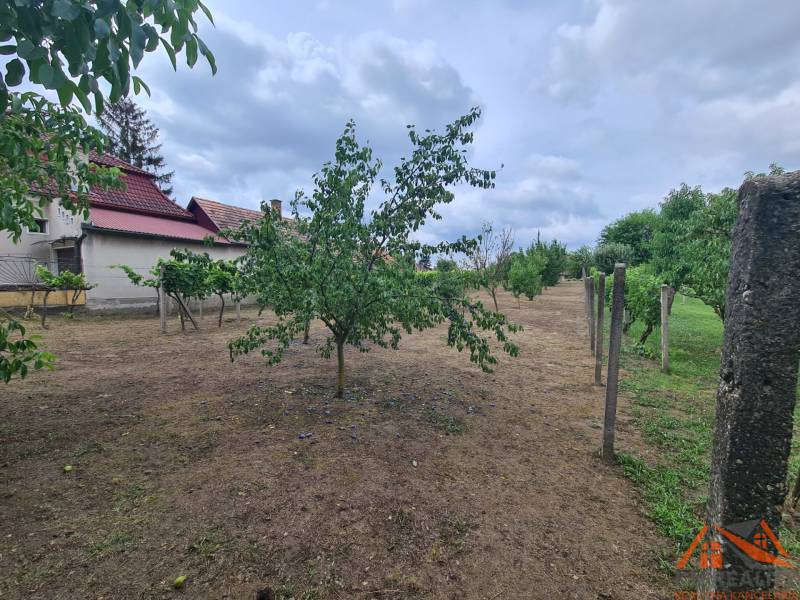 Na predaj pekný ,slnečný pozemok Moča ! - Záhrada v Moči s ovocnými stromami, budovy na pozadí a zamračenou oblohou.