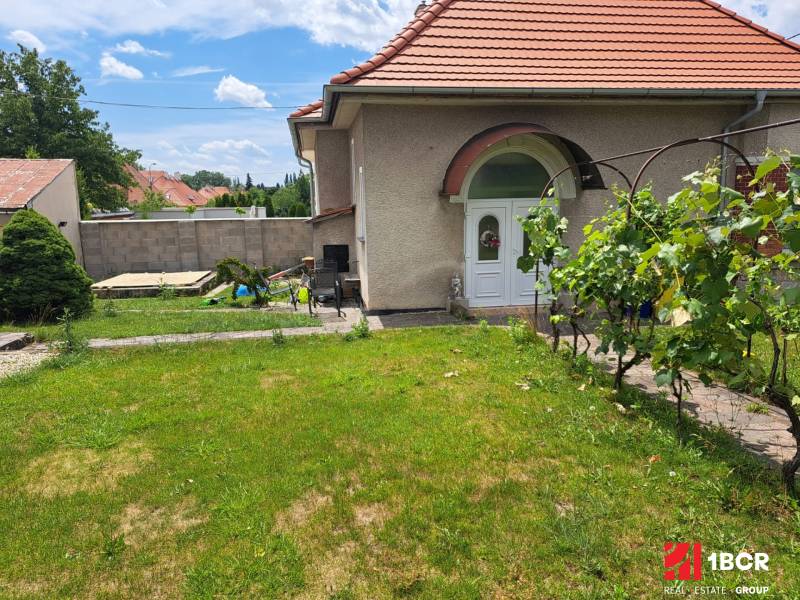 ZAUJÍMAVÝ RODINNÝ DOM, NITRA - ZOBOR - Rodinný dom v Nitre na Nécseyho ulici s udržiavanou záhradou a kríkom viniča.
