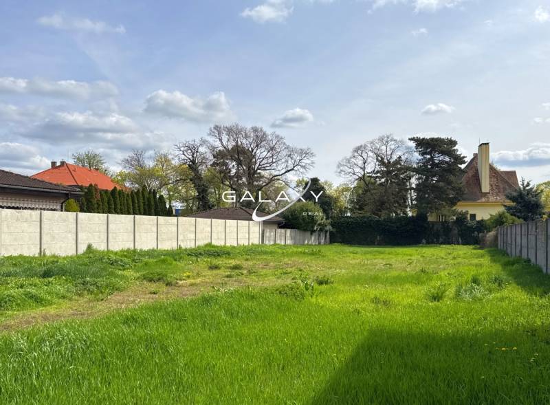 Pozemok 1315 m² pre rodinný dom blízko centra – Sládkovičovo - Zelený pozemok v Sládkovičove vhodný pre bývanie, obklopený živými plotmi a stromami.