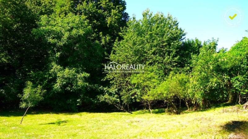 Predaj, pozemok pre rodinný dom  1000 m2 Pernek - EX... - Zelený pozemok v obci Pernek obklopený stromami, vhodný na bývanie.