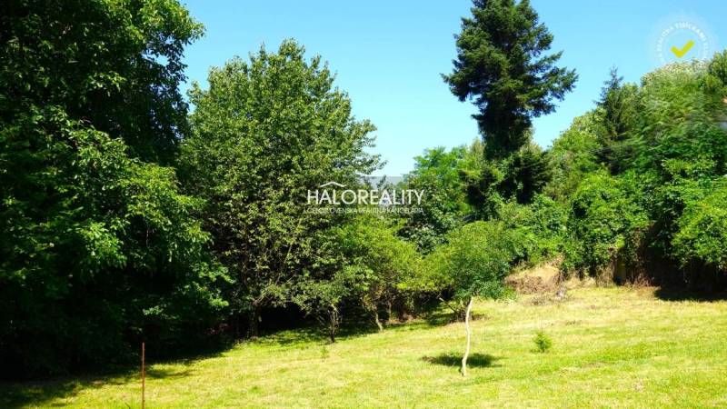 Predaj, pozemok pre rodinný dom  1000 m2 Pernek - EX... - Zeleň a stromy na pozemkoch na bývanie v Perneku.