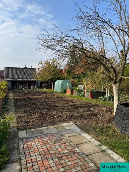 ? Na predaj: Rodinný dom s vedľajšou stavbou – Trstin (okres Trnava) - Záhrada pri rodinnom dome v Trstíne s ovocnými stromami a chodníkom.