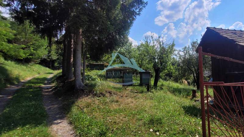 Rozsiahly pozemok (10 000m2)  priamo vo Veľkom Krtíši! - V tichej lokalite na ulici A.H. Škultétyho, zalesnené pozemky vhodné pre bývanie.
